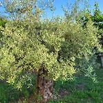 Lamaison-d'ose Frühstückspension Châtillon-sur-Chalaronne