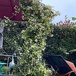 Lamaison-d'ose Frühstückspension Châtillon-sur-Chalaronne