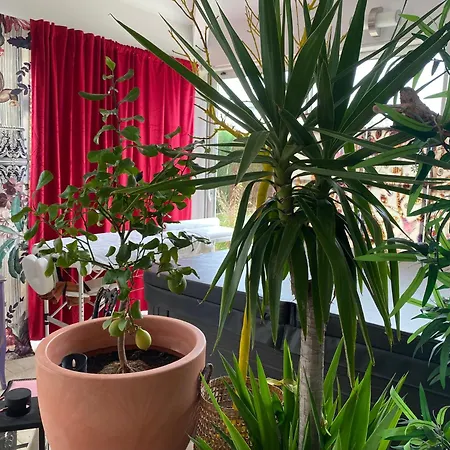 B&B Lamaison-d'ose Châtillon-sur-Chalaronne