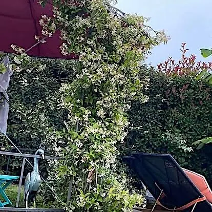 Lamaison-d'ose B&B Châtillon-sur-Chalaronne